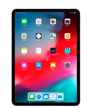 iPad Pro 11" (2018)