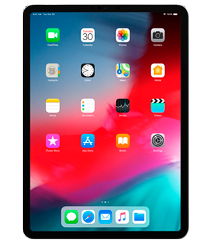 iPad Pro 12.9" (2018)